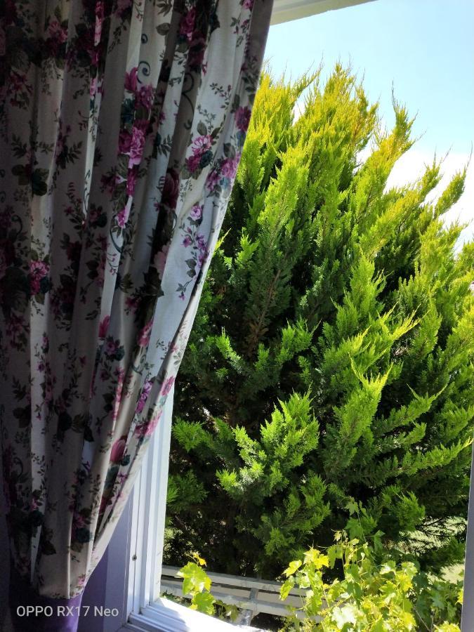 Maviev Otel Çeşme المظهر الخارجي الصورة