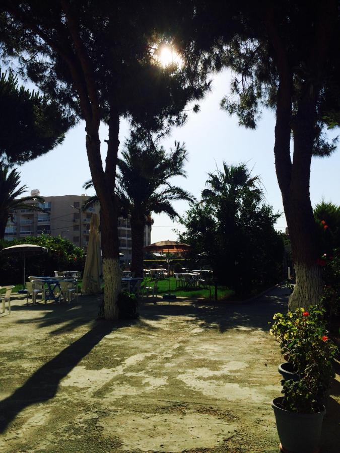 Maviev Otel Çeşme المظهر الخارجي الصورة